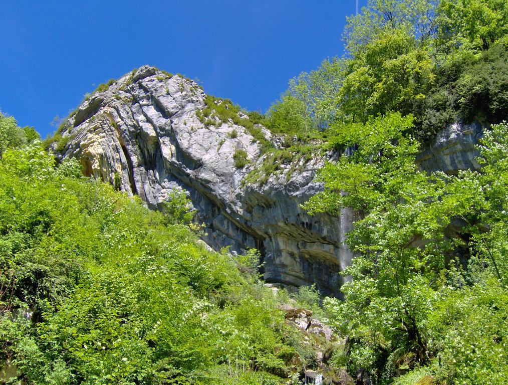 Vvf Jura Lac De Vouglans Maisod المظهر الخارجي الصورة